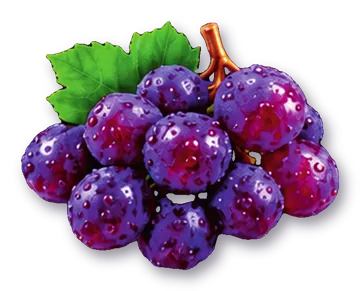 Grapes